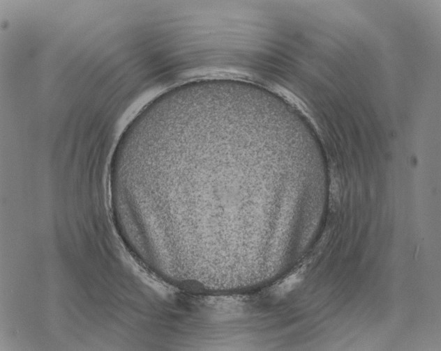 X0000070341082200606301735