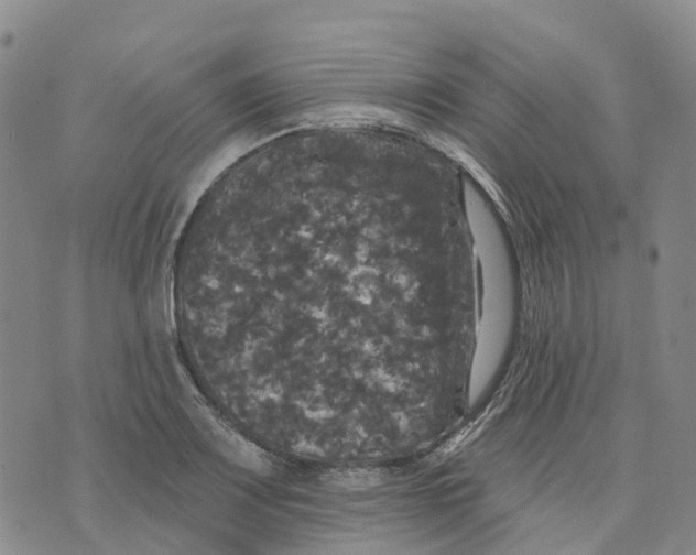 X0000070341083200606301735