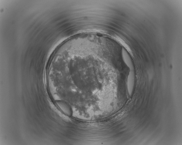 X0000070341084200606301735