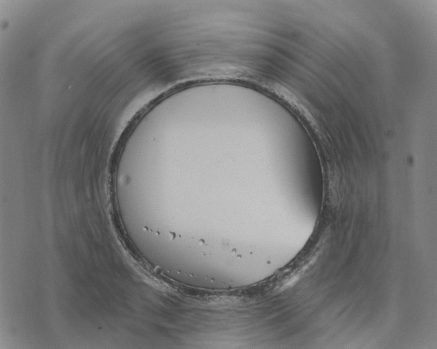 X0000070341085200606301735