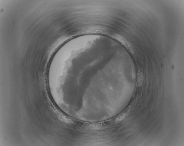 X0000070341086200606301735