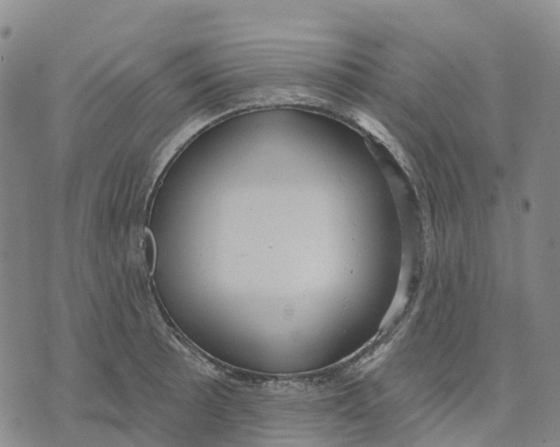 X0000070341089200606301735