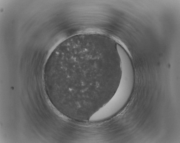 X0000070341091200606301735