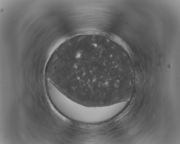 X0000070341095200606301734