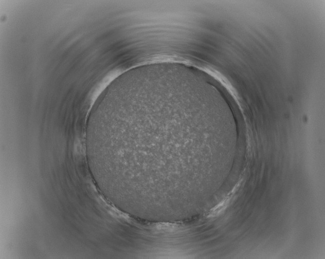 X0000070341097200606301734