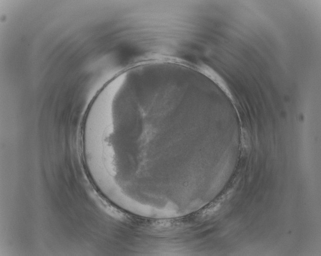 X0000070341098200606301734