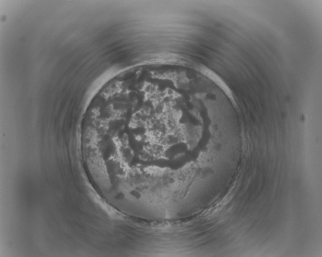 X0000070341099200606301734