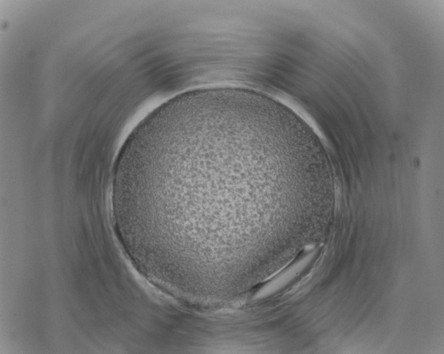 X0000070341101200606301734