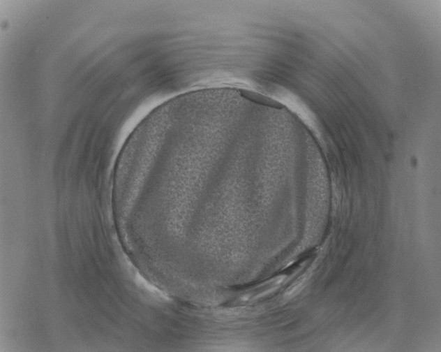 X0000070341102200606301734