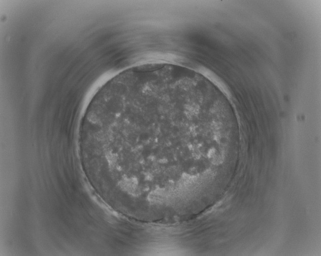 X0000070341104200606301734