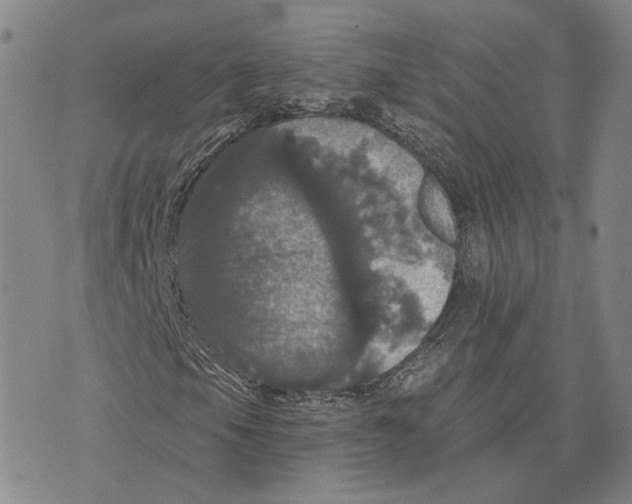 X0000070341105200606301734