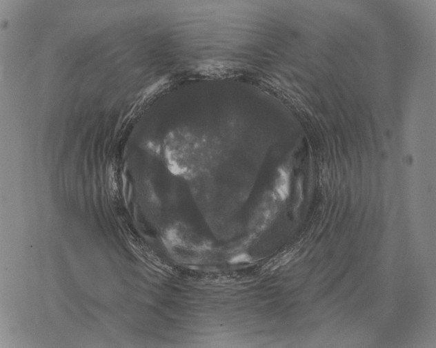 X0000070341106200606301734