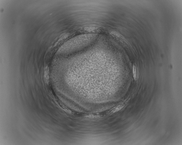 X0000070341107200606301734