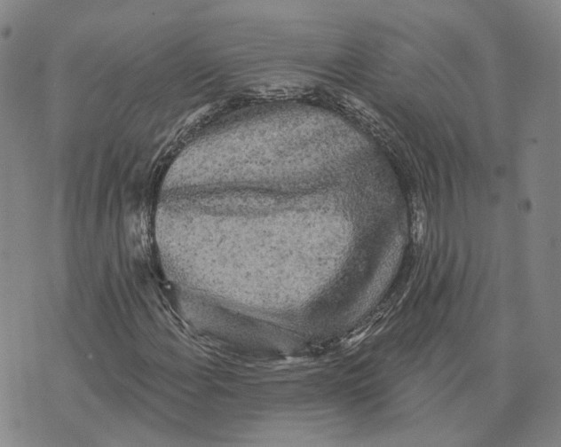 X0000070341108200606301734