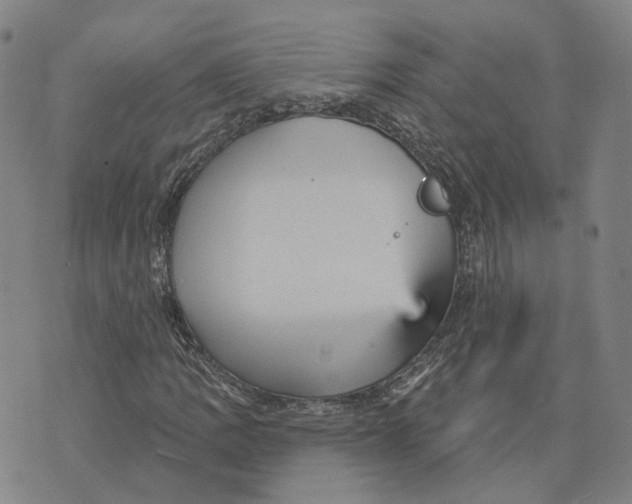 X0000070341109200606301734