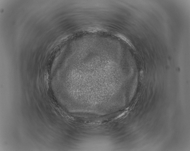 X0000070341111200606301734