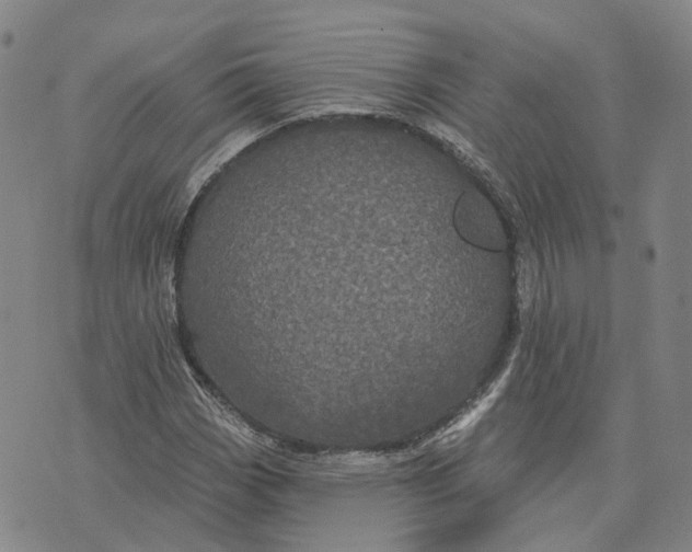 X0000070341113200606301734