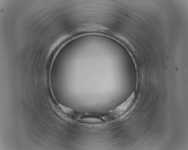 X0000070341114200606301734