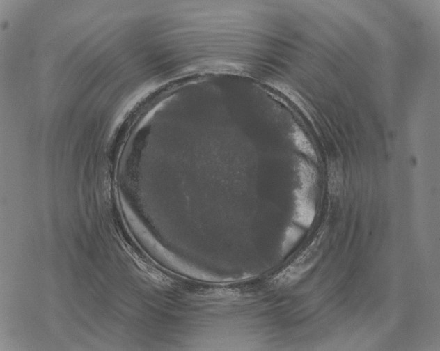 X0000070341115200606301734