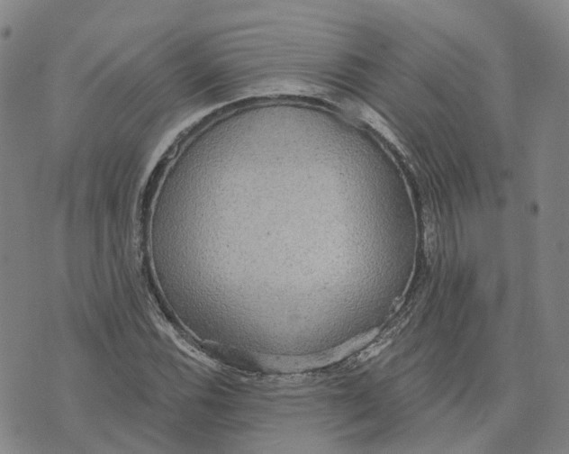 X0000070341116200606301734