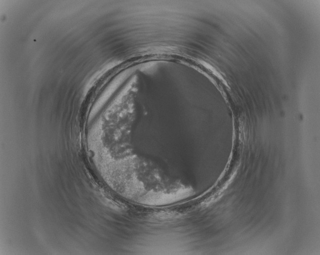 X0000070341117200606301734