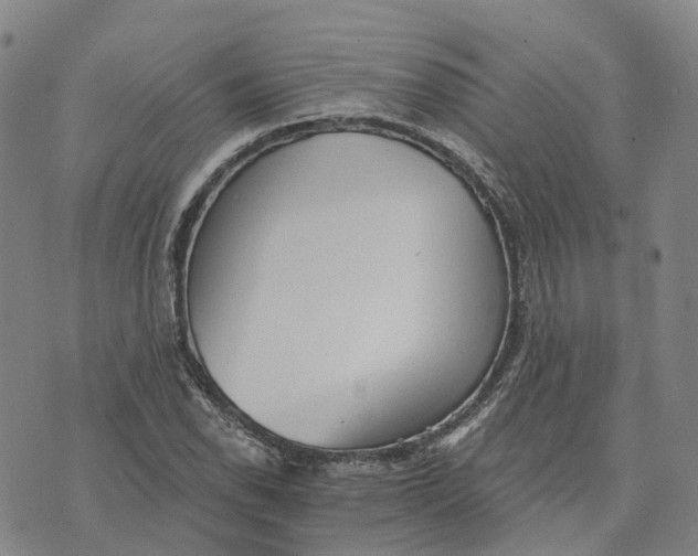 X0000070341118200606301734