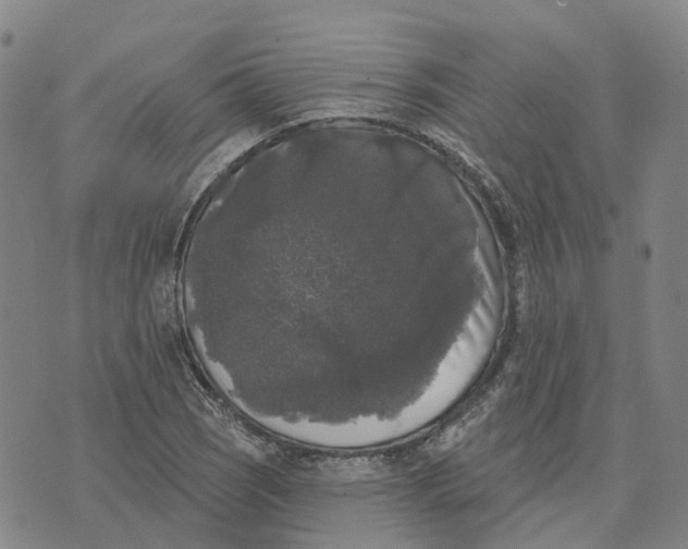 X0000070341121200606301734