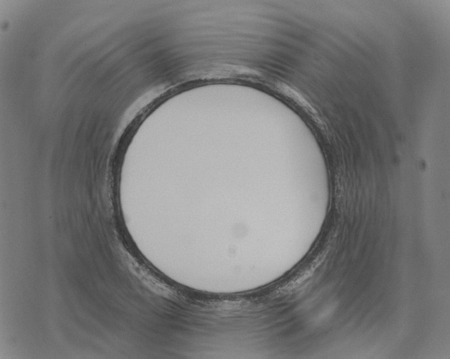 X0000070341122200606301734