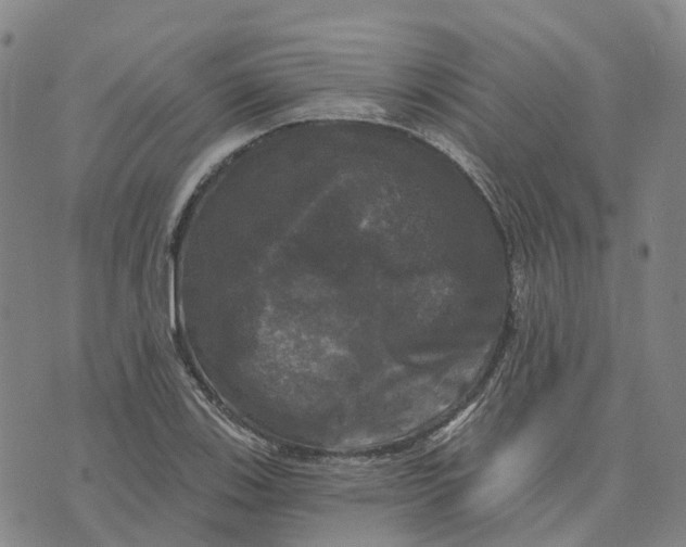 X0000070341123200606301734