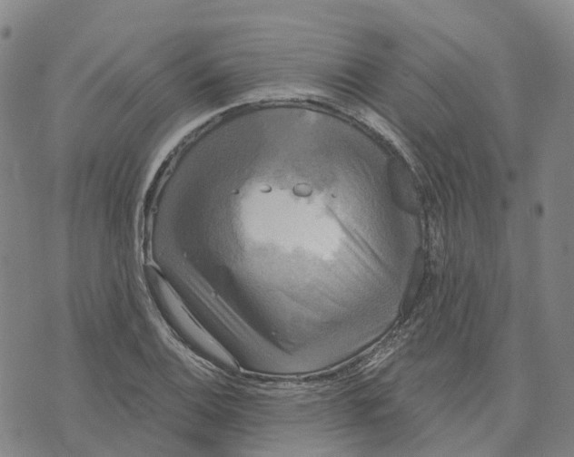 X0000070341124200606301734