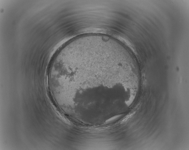 X0000070341125200606301734