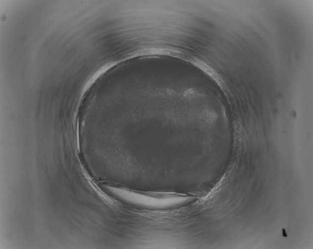 X0000070341127200606301734