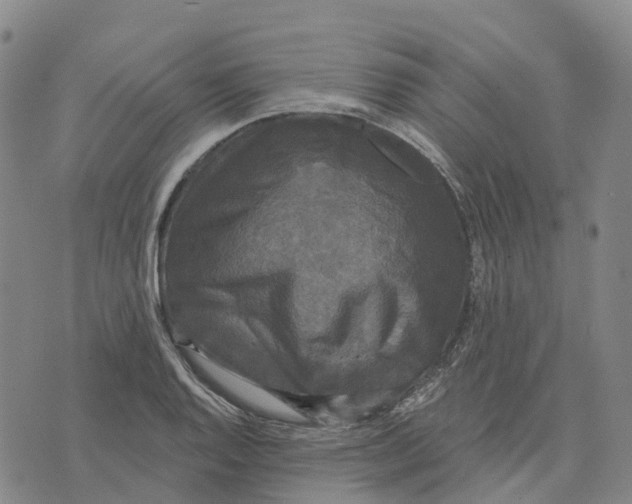 X0000070341128200606301734