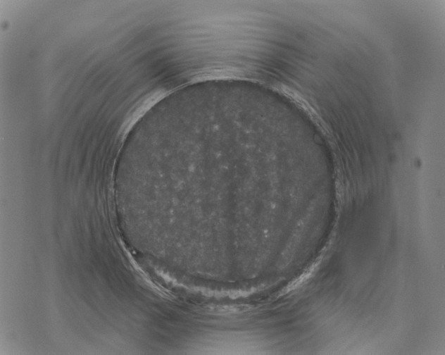 X0000070341129200606301734