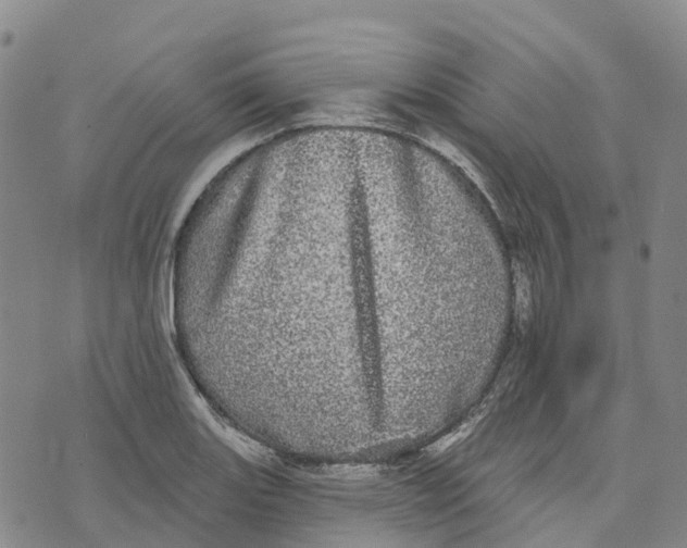 X0000070341131200606301734