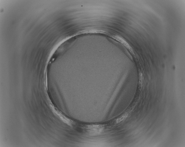 X0000070341132200606301734