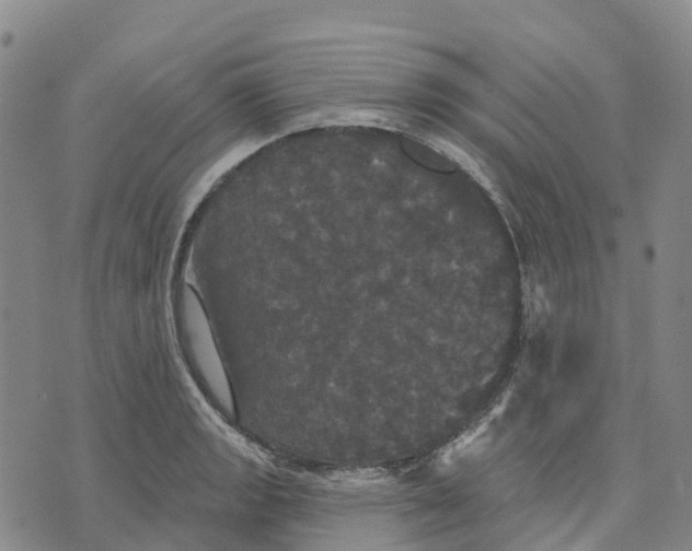 X0000070341133200606301734