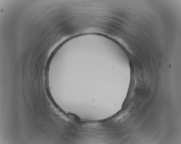 X0000070341134200606301734