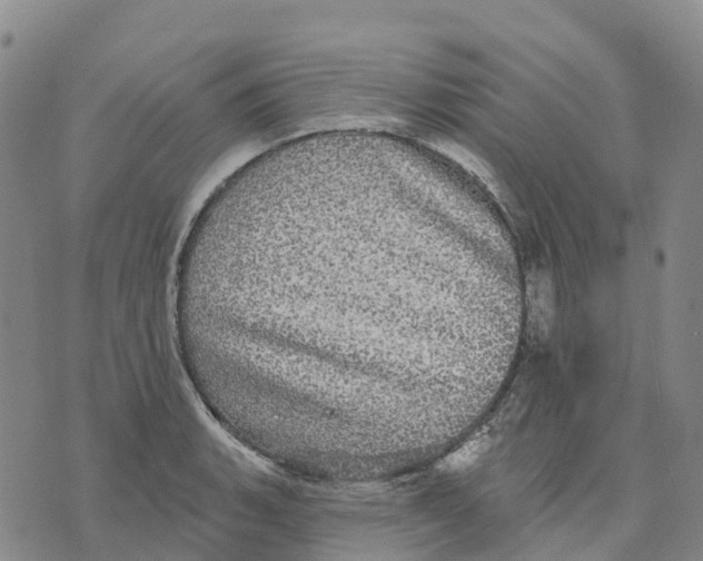 X0000070341135200606301734