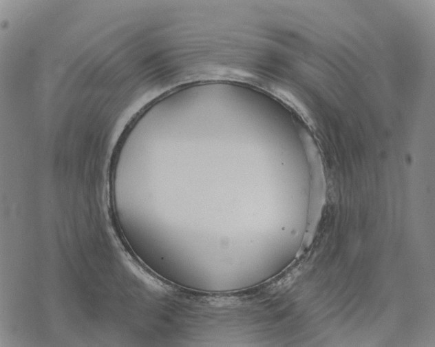 X0000070341136200606301734