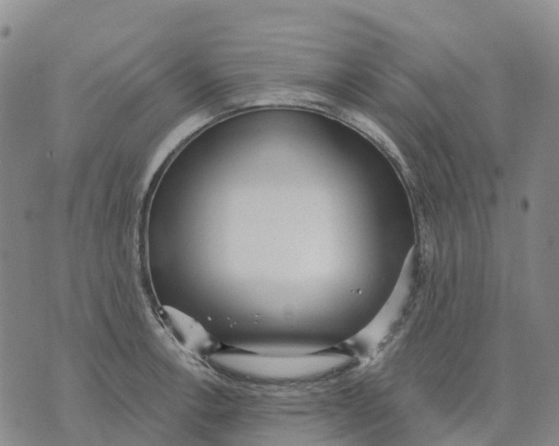 X0000070341138200606301734