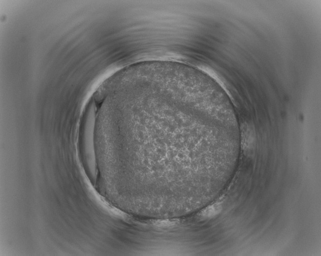 X0000070341139200606301734