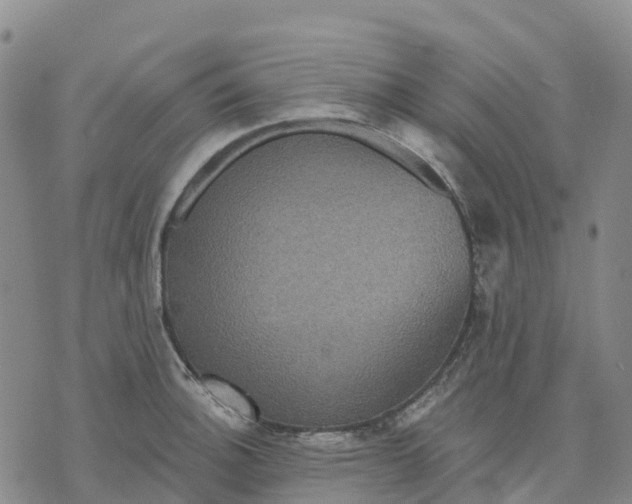 X0000070341140200606301734