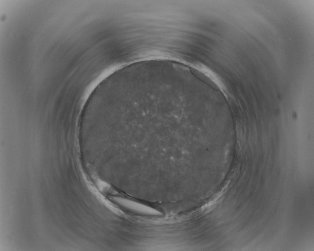 X0000070341142200606301734