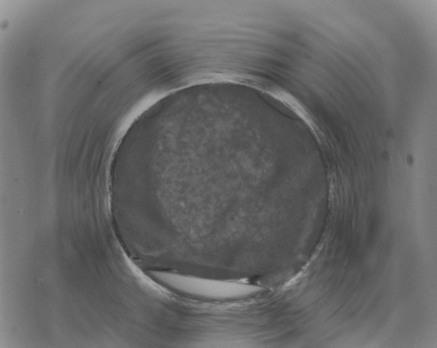 X0000070341143200606301734