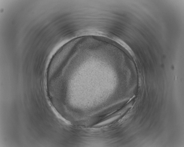 X0000070341144200606301734