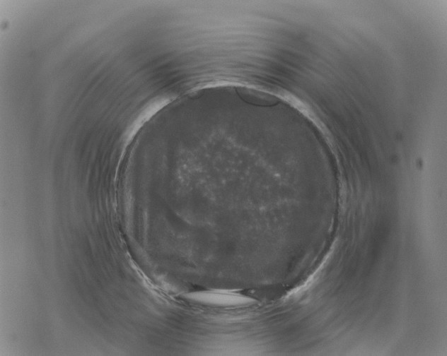 X0000070341145200606301734