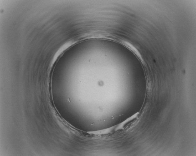 X0000070341146200606301734