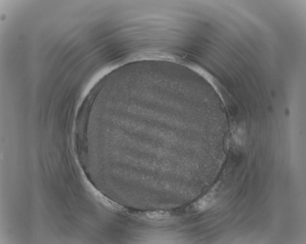 X0000070341147200606301734