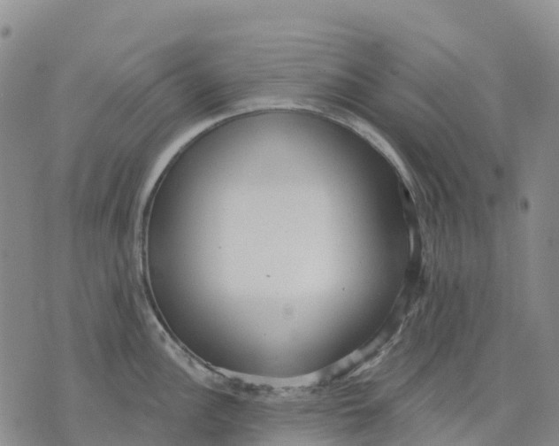 X0000070341148200606301734